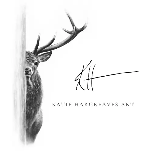 Katie Hargreaves Art