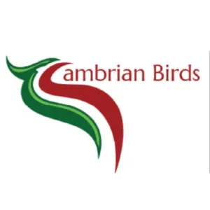 Cambrian Birds EL